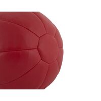 Μπάλα AMILA Medicine Ball PU 3Kg 44513