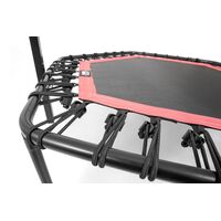 Εξάγωνο Τραμπολίνο με Λαβή Στήριξης Ροζ 70268