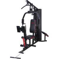 Πολυόργανο Γυμναστικής AMILA HG1187 91202