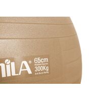 Μπάλα Γυμναστικής AMILA GYMBALL 65cm Χρυσή Bulk 48413