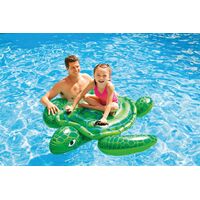 Lil' Sea Turtle 57524