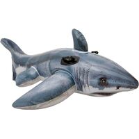 Great White Shark 57525