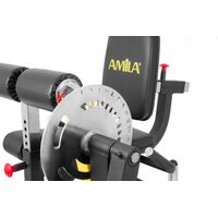 Μηχάνημα Leg Curl / Leg Extension AMILA AX1030 93703