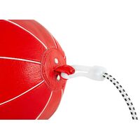 Boxball οροφής δαπέδου 43087