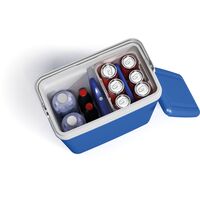 Ισοθερμικό Ψυγείο Γκρι/Πράσινο 29L 12424