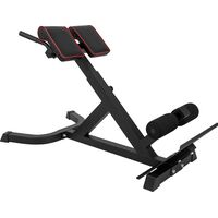 Πάγκος Γυμναστικής Ραχιαίων AMILA 43906