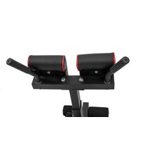 Πάγκος Γυμναστικής Ραχιαίων AMILA 43906