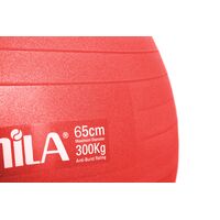 Μπάλα Γυμναστικής AMILA GYMBALL 65cm Κόκκινη 95846