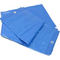 ΔΑΠΕΔΟ ΣΚΗΝΗΣ 200x300 cm