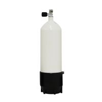 BTS SINGLE STEEL CYLINDER 10L/230BAR S16116637(B1969)
