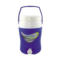 ΘΕΡΜΟΣ PLATINO 2 GAL/8LTR ΠΟΡΤΟΚΑΛΙ