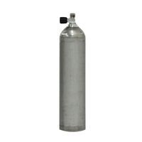BTS SINGLE AL CYLINDER 7L SILVER DIRTY BEAST(B1969)