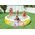Pinwheel Pool 56494