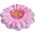 Pink Daisy Flower Mat 58787