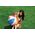 Glossy Panel Ball 59030