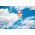 Glossy Panel Ball 59030