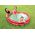 Watermelon Pool 58448