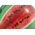 Watermelon Ball 58075
