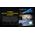 ΦΑΚΟΣ LED NITECORE PRECISE P40, Ultra long throw , 2900m