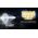 ΦΑΚΟΣ LED NITECORE PRECISE P17ix, Tactical Lumin Sield, Strobe ready, 5000lm