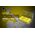 ΜΠΑΤΑΡΙΑ NITECORE IMR18650 2600mah 40A FlatTop