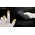 Anti-slip Touchscreen Cleaning Gloves NC-CK009