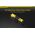ΦΟΡΤΙΣΤΗΣ NITECORE F1, μίας θέσης + Power Bank