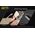 Titanium Utility Knife - NTK05
