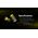 ΜΠΑΤΑΡΙΑ NITECORE RCR123A / 950mAh (τιμή τεμαχίου)