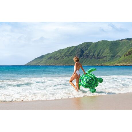 Lil' Sea Turtle 57524