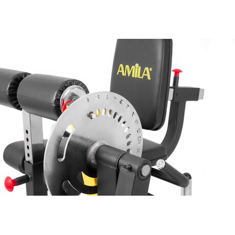 Μηχάνημα Leg Curl / Leg Extension AMILA AX1030 93703