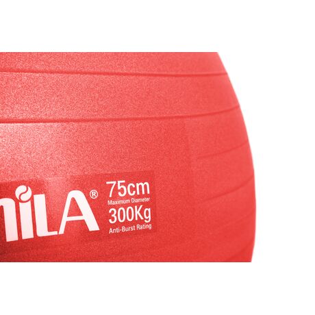 Μπάλα Γυμναστικής AMILA GYMBALL 75cm Κόκκινη Bulk 48443 Μπάλα Γυμναστικής AMILA GYMBALL 75cm Κόκκινη Bulk 48443