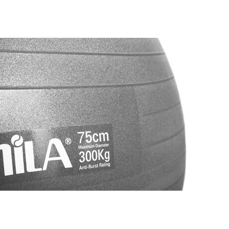 Μπάλα γυμναστικής AMILA GYMBALL 75cm Γκρι 95867 Μπάλα γυμναστικής AMILA GYMBALL 75cm Γκρι 95867