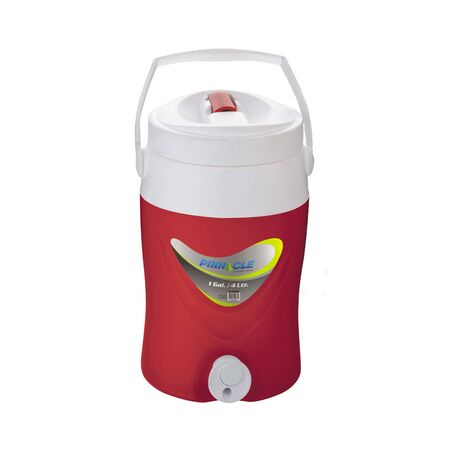 ΘΕΡΜΟΣ PLATINO 1 GAL/4LTR ΤΙΡΚΟΥΑΖ