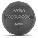 Wall Ball AMILA Black Code 12Kg 90763